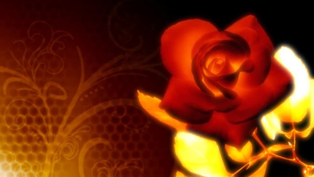 Red rose background animation