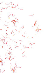 saffron pistil on white background