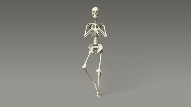 Tree Pose Of Human Skeletal