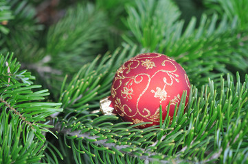 Closeup of Green Christmas tree red ball decorations
