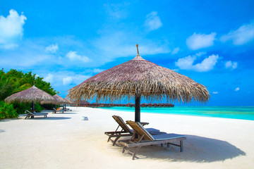 tropical beach in Maldives