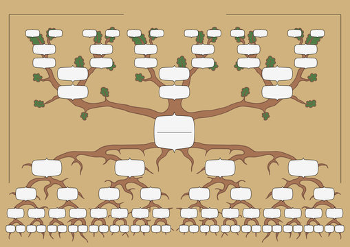Family tree genealogy diagram stick figure Vector Image