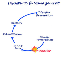 Disaster Risk Management