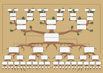 The genealogical tree