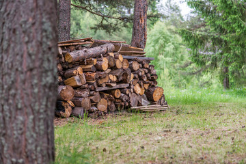 Pile of firewood. Preparation of firewood for the winter. Background. Firewood in the forest. Firewood on camping area fireplace. Stacks of firewood.