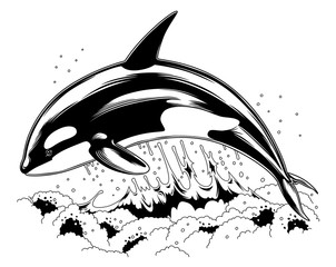 Fototapeta premium Jumping orca