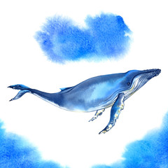 Watercolor whale on blue watercolor background