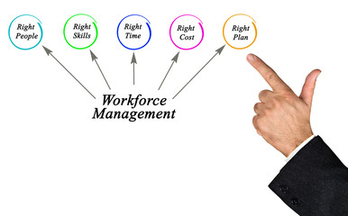 Workforce Management