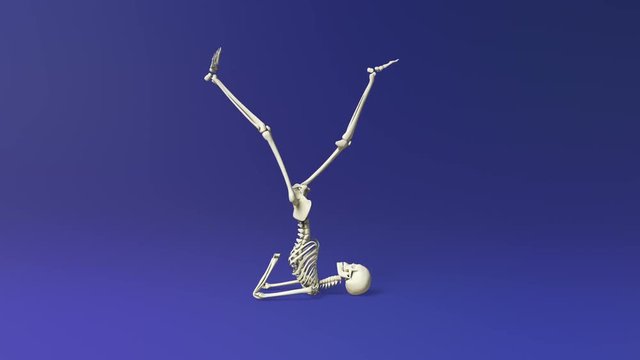 Cycling Exercise Of Human Skeletal