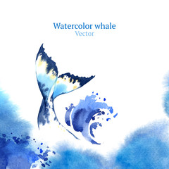 Vector watercolor whale © Evgeniia Zagreeva