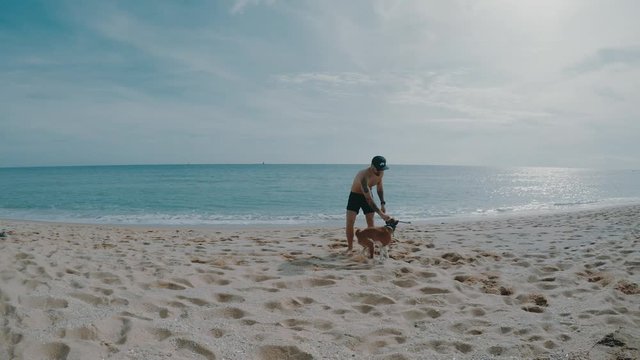 Happy tattooed man in surf shorts playing with his restless basenji dog running around on empty sea beach with white sand