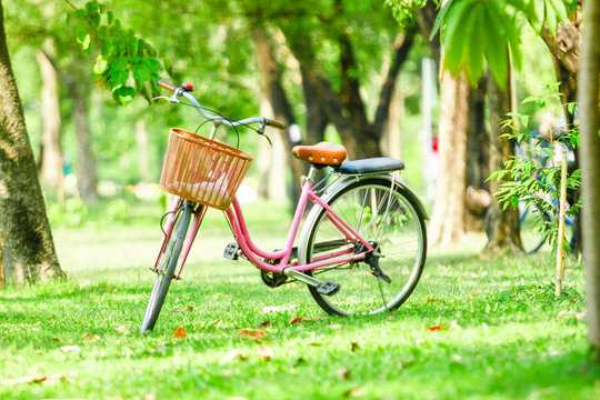 bicycle standing in park