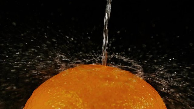 Water falling on Orange, citrus sinensis, against Black Background, Slow Motion 4K