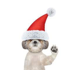 Cute santa dog is greeting you