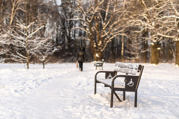 The Walkway with benches in winter Park.