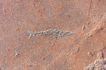Fish figure rock engraving carved on granite. Onega Lake, Besov Nos cape, Karelia Republic,...