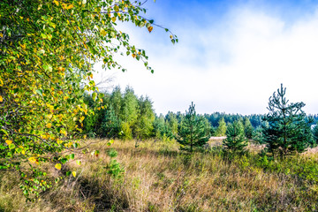 The autumn. Morning landscape.