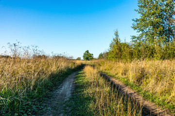 Dirt road in a field.