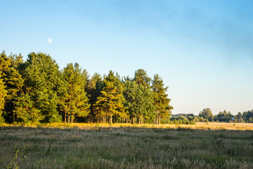 The autumn. Field and forest in the sunset light of the Sun.