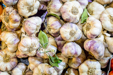 Garlic Bulbs, Top View