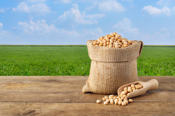chickpea in bag on chickpea field background