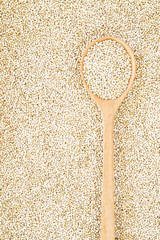 white quinoa grain in wooden spoon.
