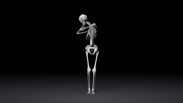 Stretching And Exercising Human Skeletal System