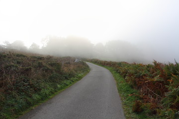 Route dans la brume