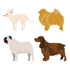 Dog Side View Set 4