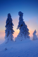 Sonnenaufgang, tief verschneite Winterlandschaft auf dem Gipfel des Brockens im Harz,...