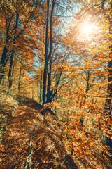 Fototapeta na wymiar Majestic autumn landscape