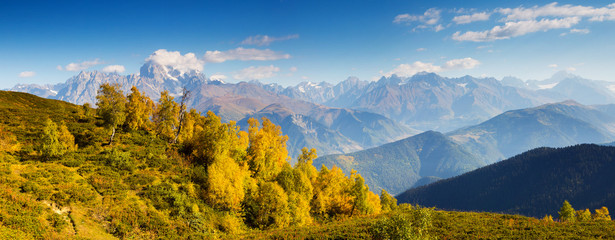 Fototapeta premium beautiful autumn landscape