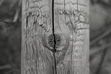 knotted wood pole