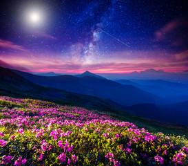 starry night in mountain