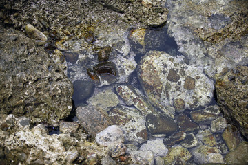 rocks and water - macro