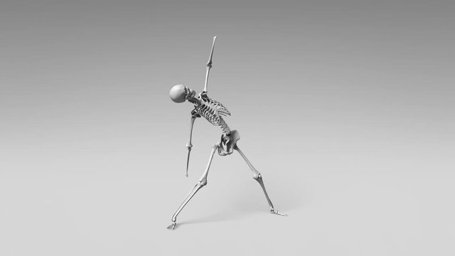 Yoga Triangle Pose Of Human Skeletal