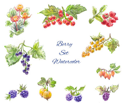 Watercolor berries set, blackberries, currants, gooseberries, cl