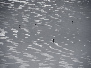 Four skiers walking on snow surface