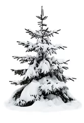 Crédence de cuisine en verre imprimé Arbres Arbre de Noël d& 39 hiver couvert de neige sur le blanc