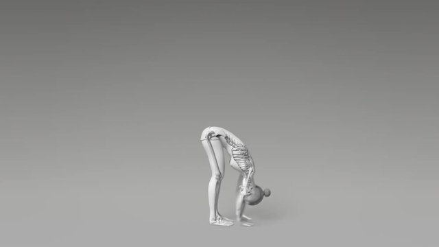 Big Toe Pose Of Stretching Young Female With Visible Skeleton