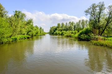 Fototapeta na wymiar Rippling water surface in a wide Dutch creek