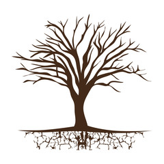 tree trunk with branchs without leaves vector illustration