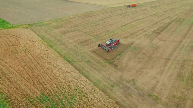 Harvester Collects Grain Crops while Tractor with Trailer waits for its Cargo. Aerial Shot.
