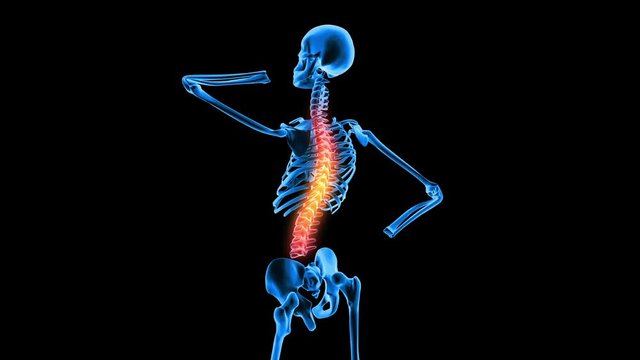 Female Skeleton Having Back Pain