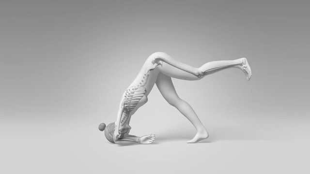 Yoga Heron Pose Of Stretching Female With Visible Skeleton