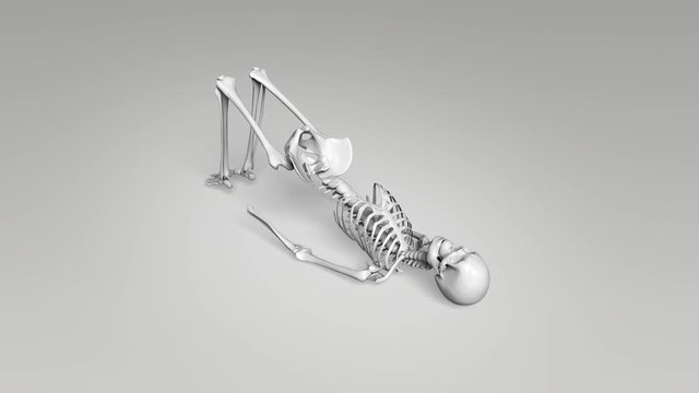 Bridge Pose Of Human Skeletal