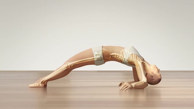 Stretching Young Female With Visible Skeleton On Wooden Floor