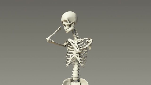 Stretching Human Skeletal