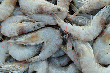 Fresh shrimp