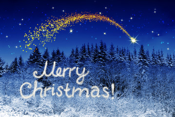 Merry Christmas write and winter forest.